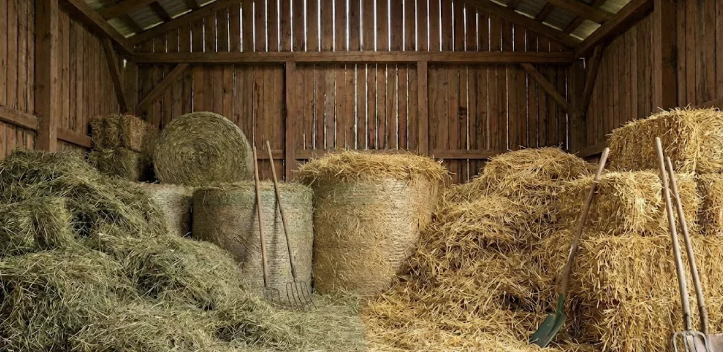 Hay vs Straw: What’s the difference and which should you use?
