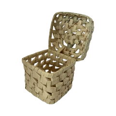 Box & Lid Chew Toy