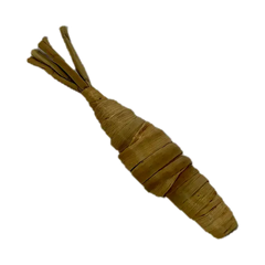 Carrot Chew Toy