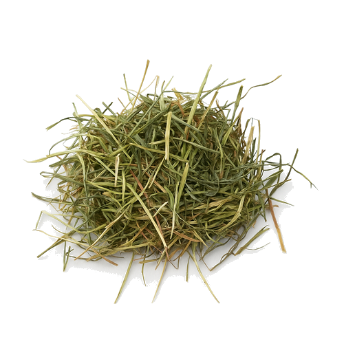 Sweet Rye Hay