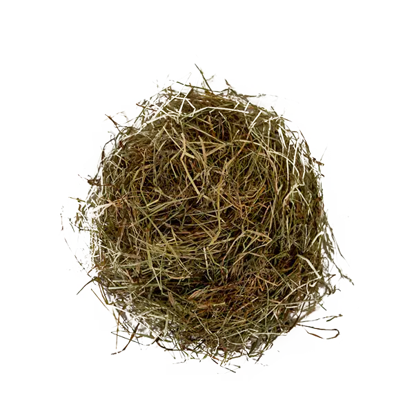 Meadow Hay