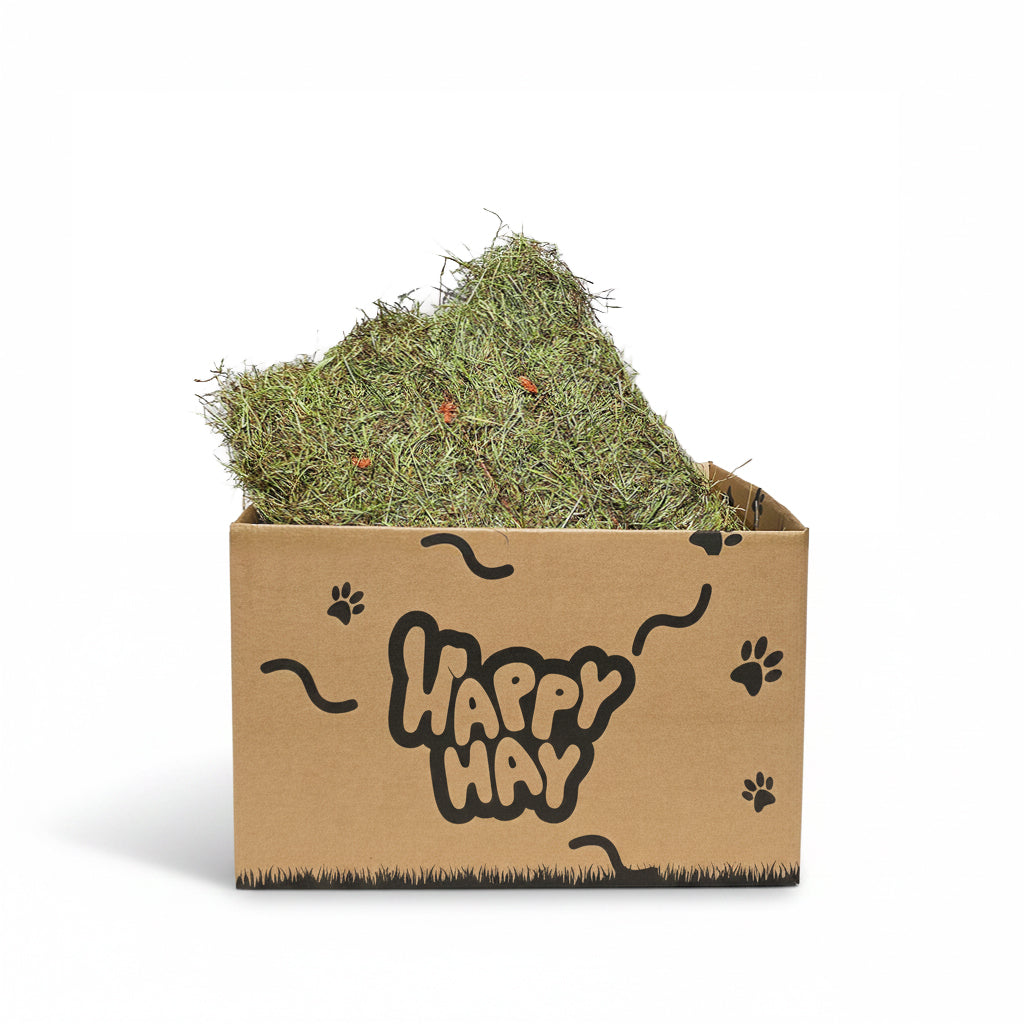 Meadow Hay