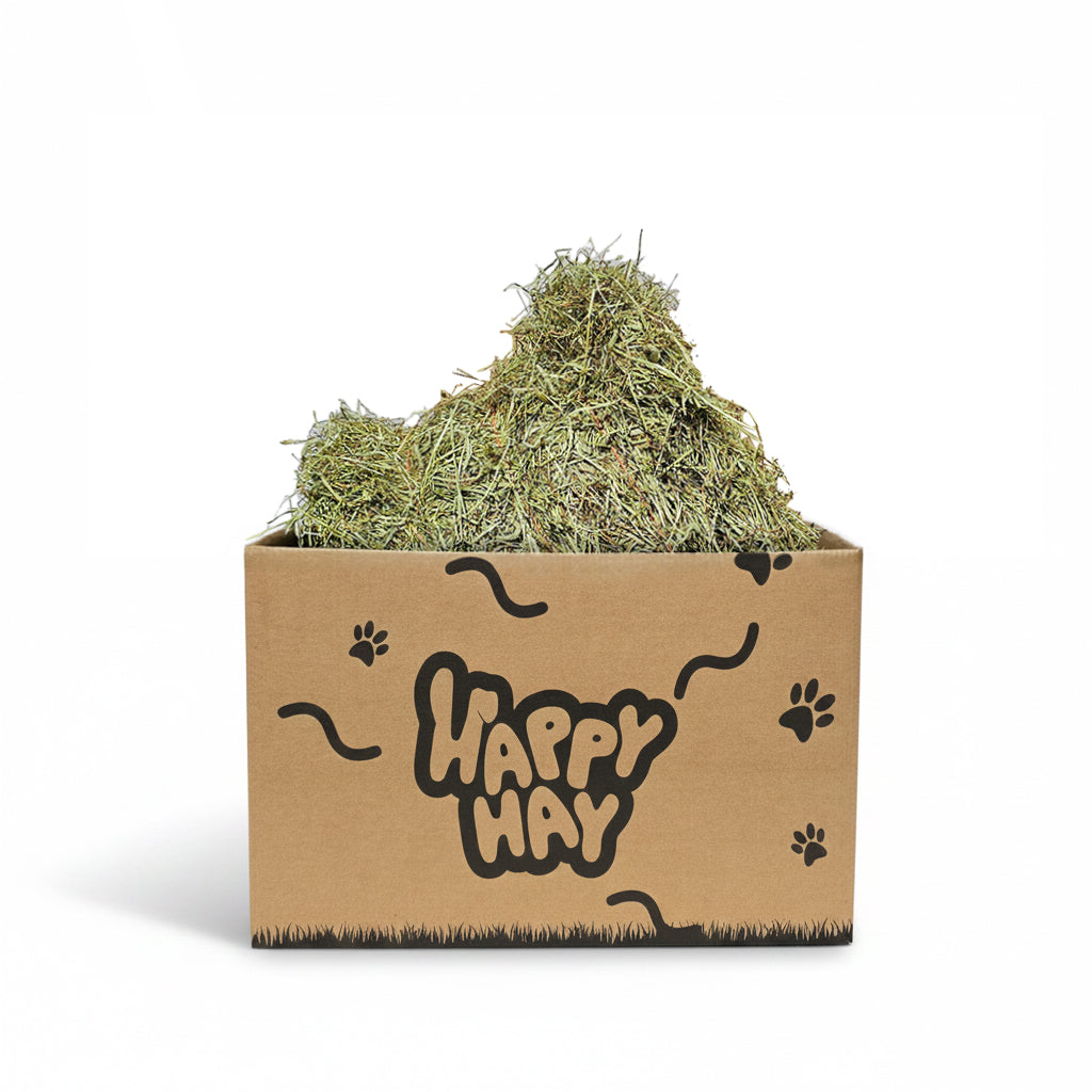 Timothy Hay
