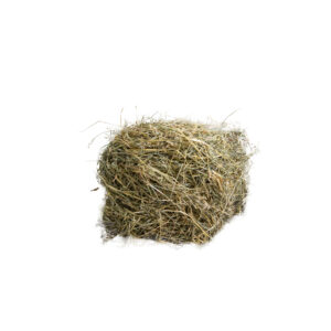 Oat Rabbit Hay