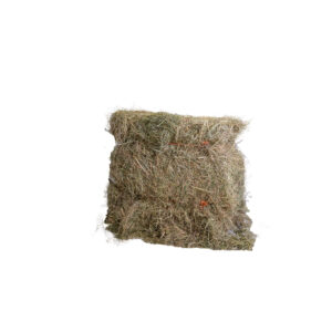 Meadow Hay Bale