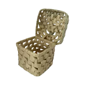 what do rabbits play with box