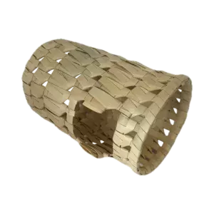 what do rabbits play with