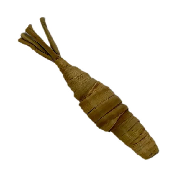 Carrot Chew Toy