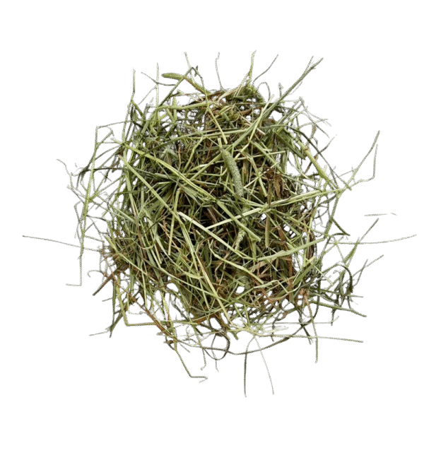 Timothy Hay Box