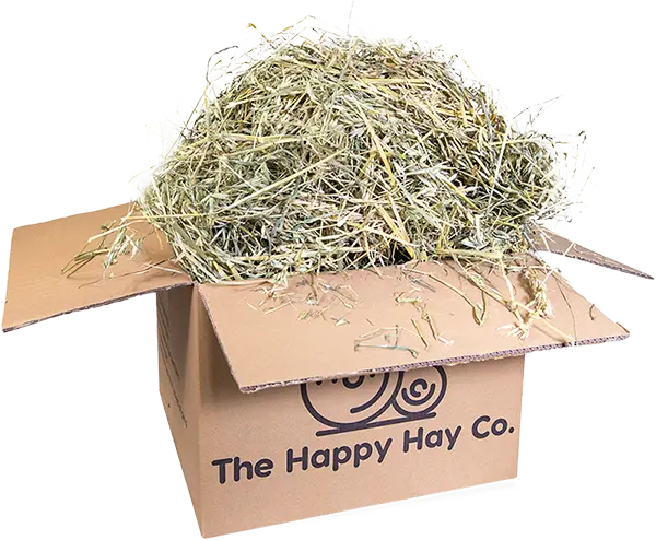 small hay boxes