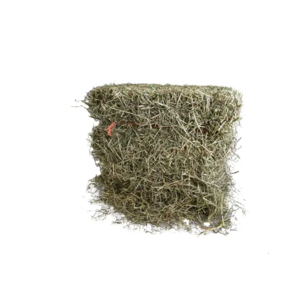 timothy hay bale