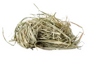 fresh hay