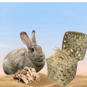 dig boxes keep rabbits nails short